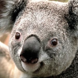 Meet your Posher, Fernando